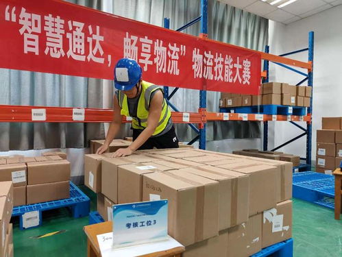 匠心筑夢 技能成才 啟航未來 經貿學院第五屆經濟節專業技能競賽圓滿落幕，引領經濟貿易咨詢新高度